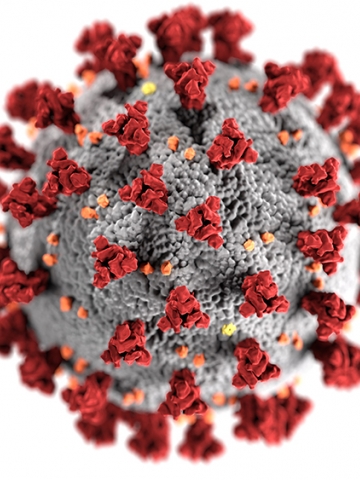Illustration of the Covid virus. A gray ball with large red and small orange pieces covering it. 