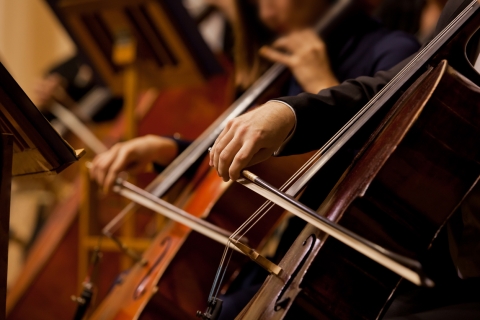 individuals playing cello